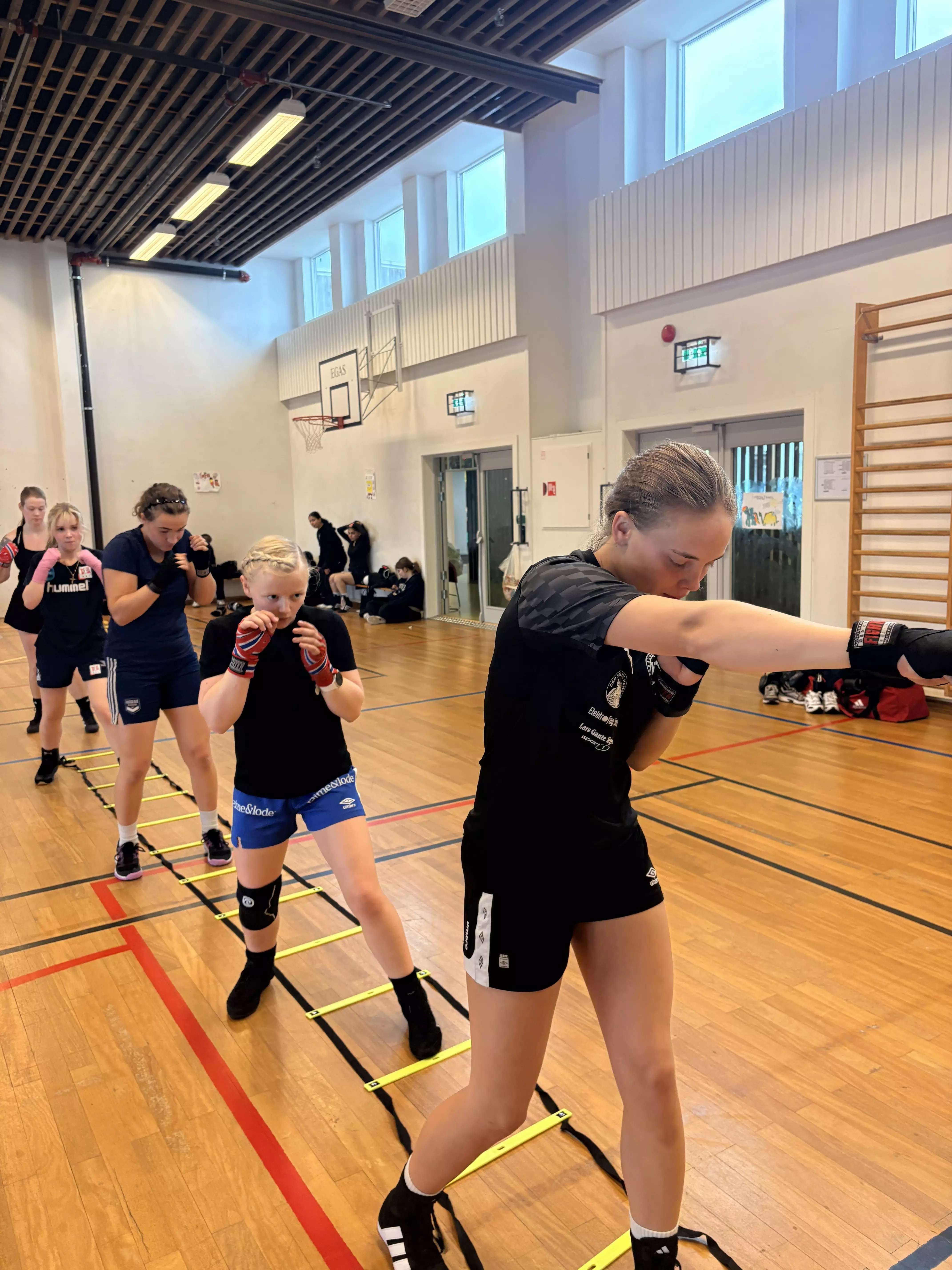 Masse fine øvelser med stige