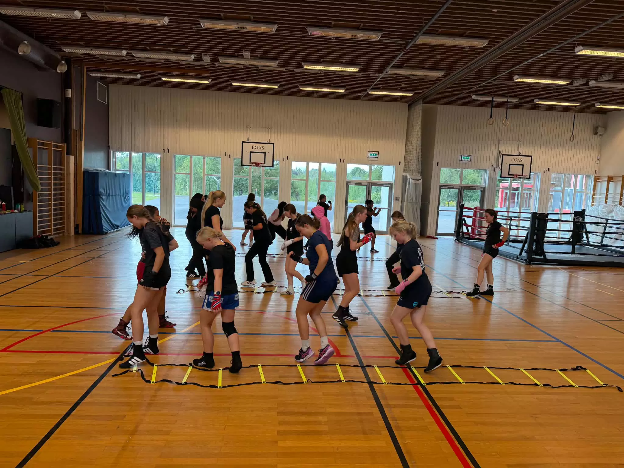 Agility stige er gøy