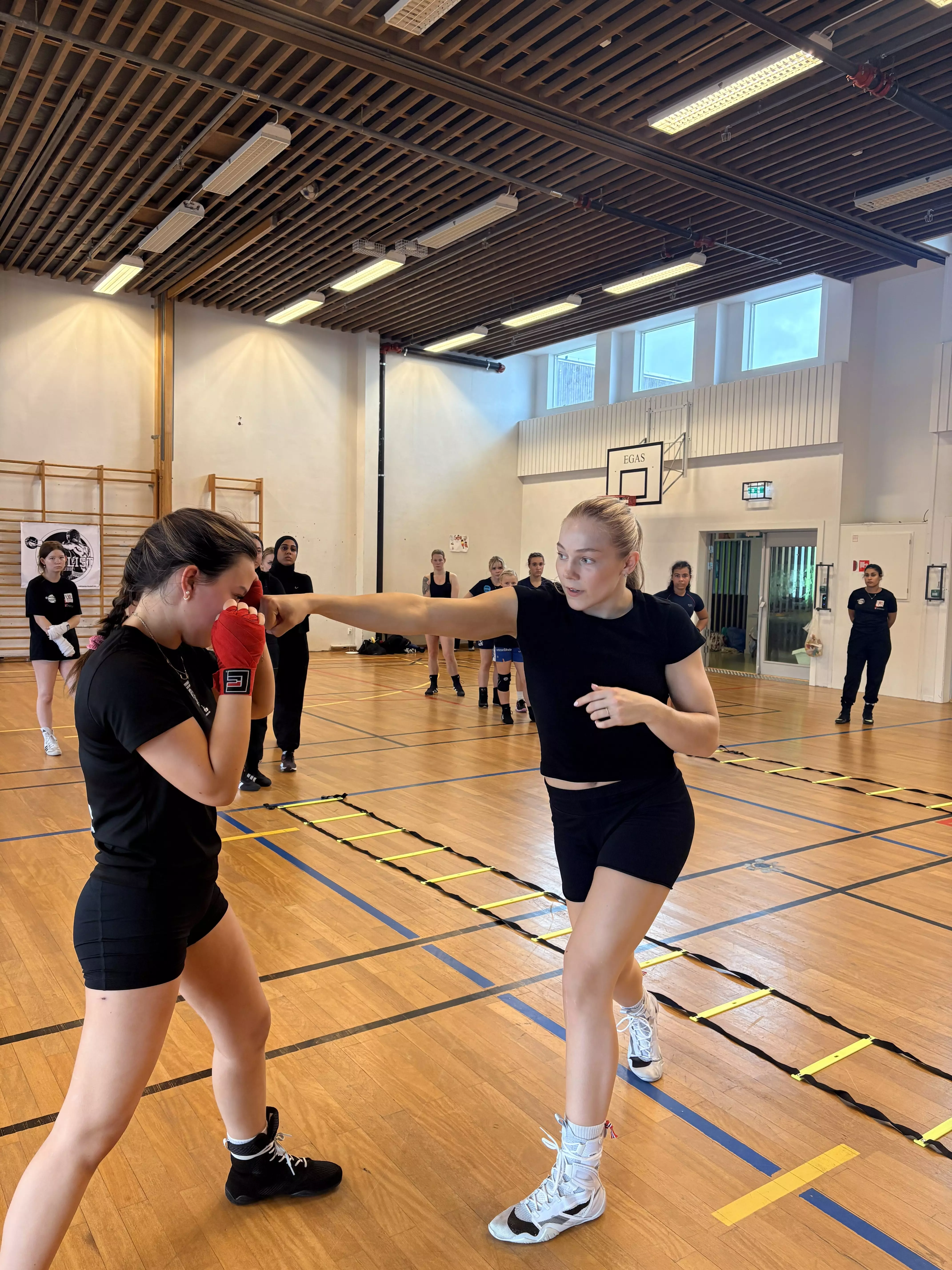 Bokseteknikk - her vist av Sunniva Hofstad