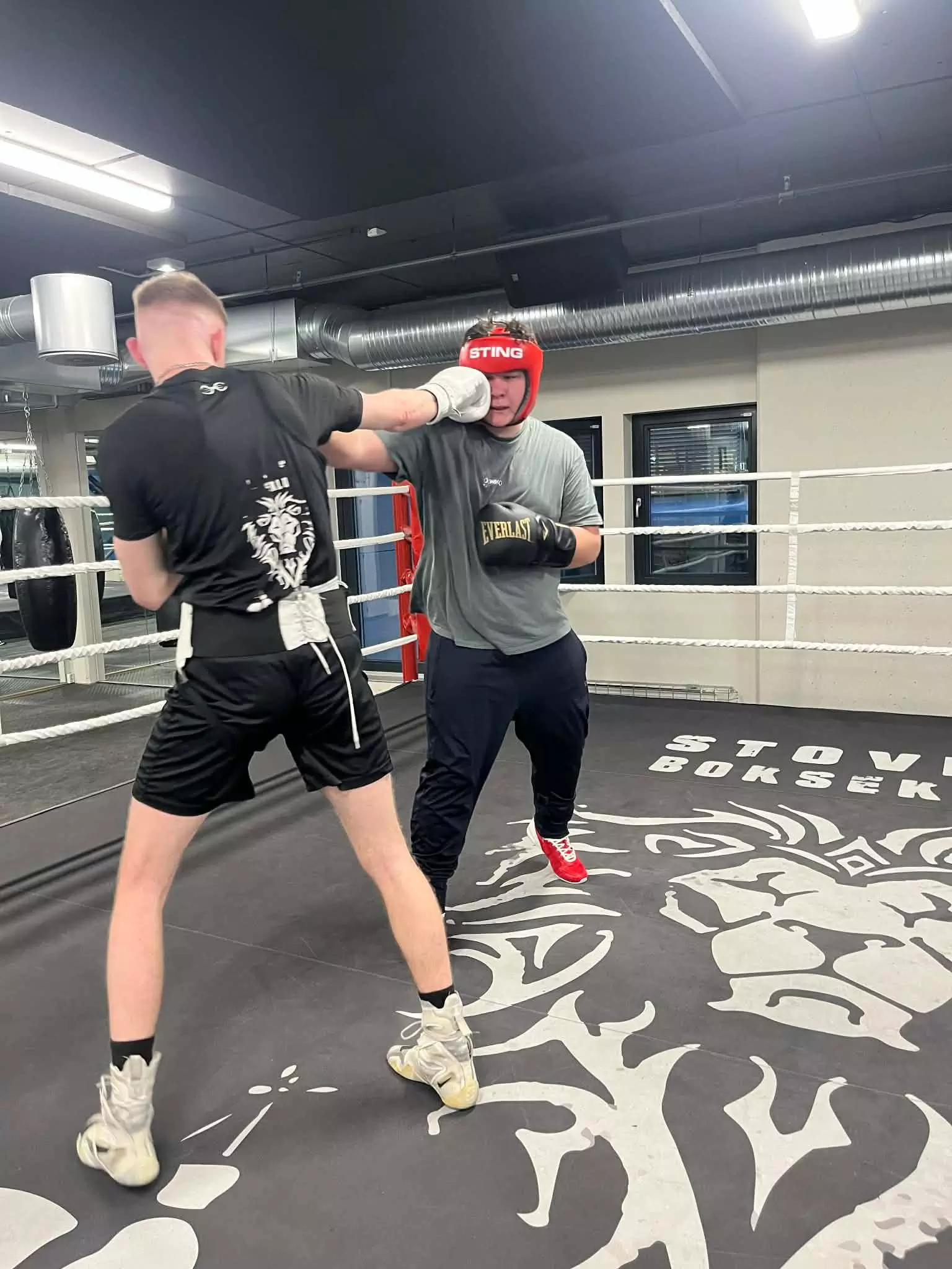 Sparring i ring